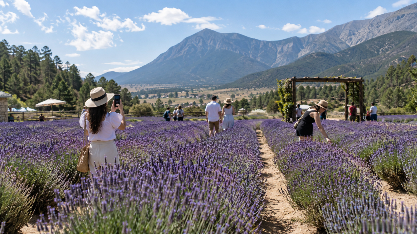 Visitantes recorren campos de lavanda en una zona montañosa de Arteaga